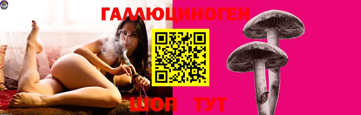 где продают наркотики  Псилоцибиновые грибы мицелий  Вход с VPN  Радужный 